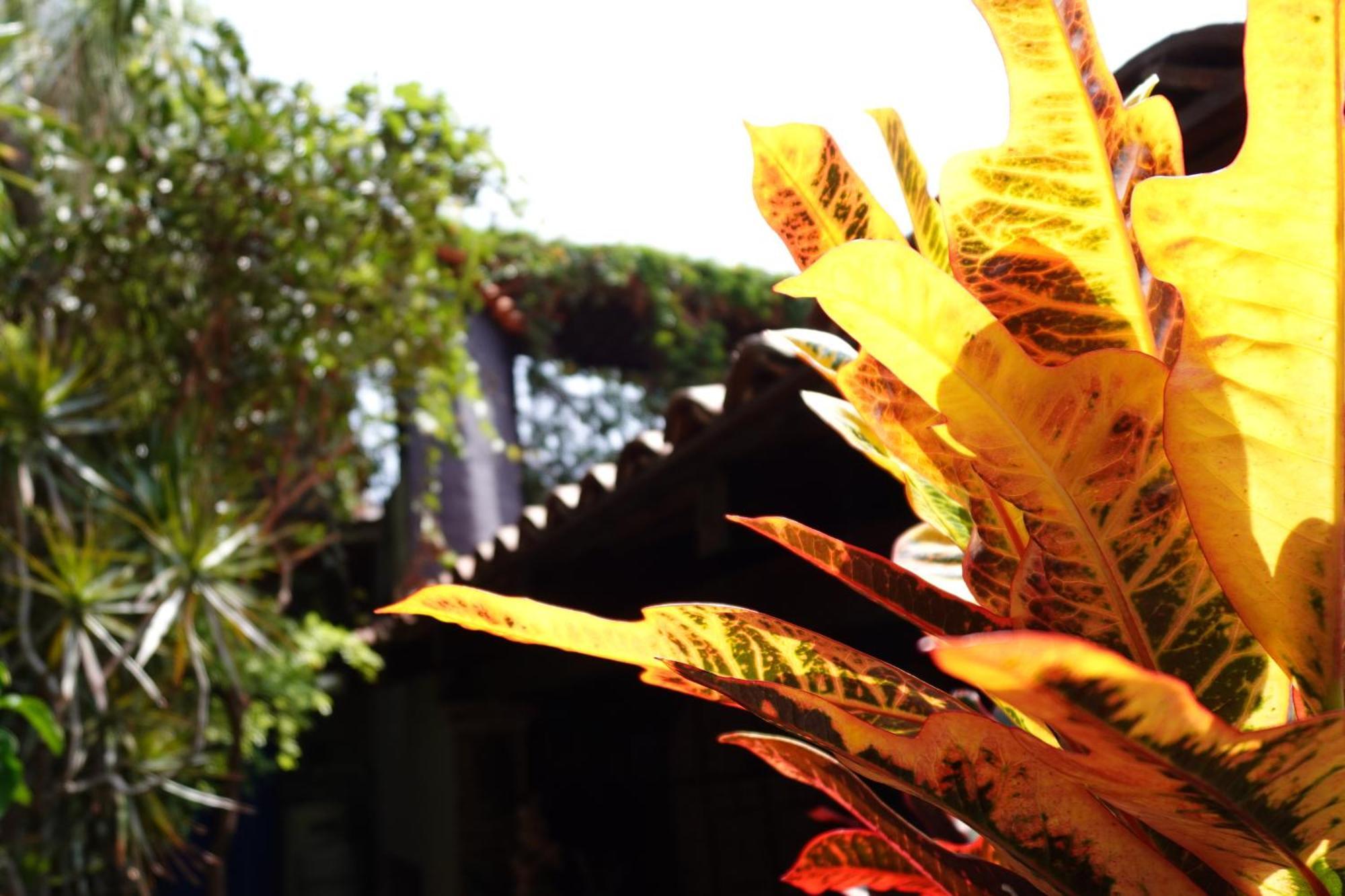 Enjoy Ac In The Queen's At * Ajijic